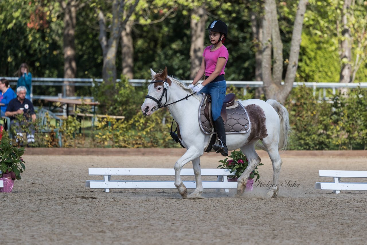 Bild 14 - Pony Akademie Turnier